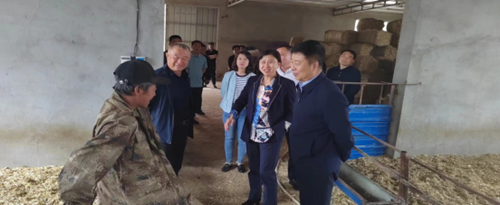 图为艾红锷（右一）与残疾人卞喜贵（左一）了解养殖情况
